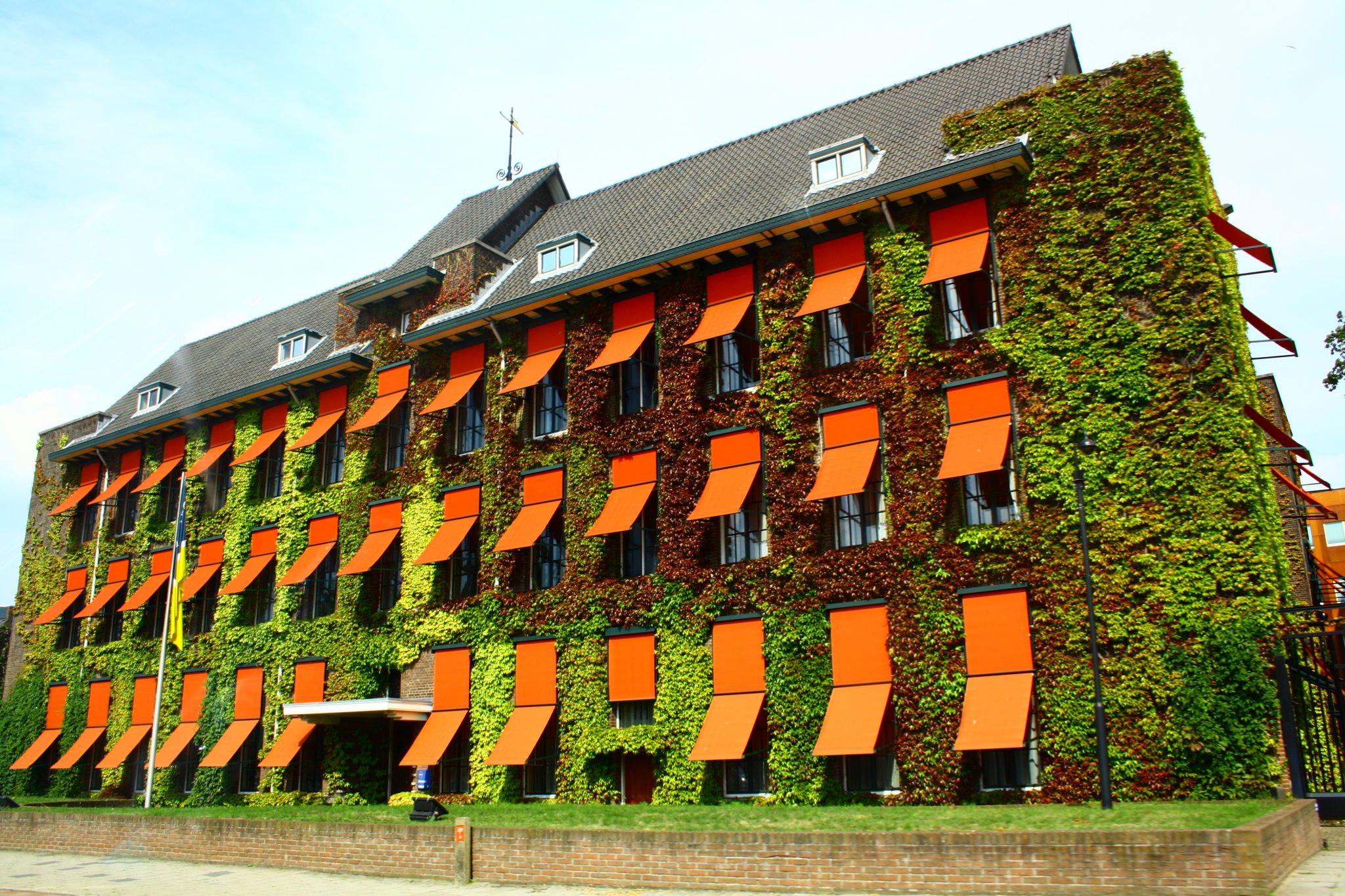 3DD9F2ED-F432-4BA5-8D31-4C99BB283D24-2048x1365