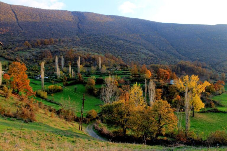 Parashikimi i motit për sot