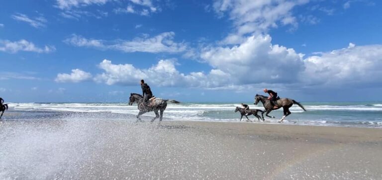 Bregdetit shqiptar i shtohet një produkt turistik i ri