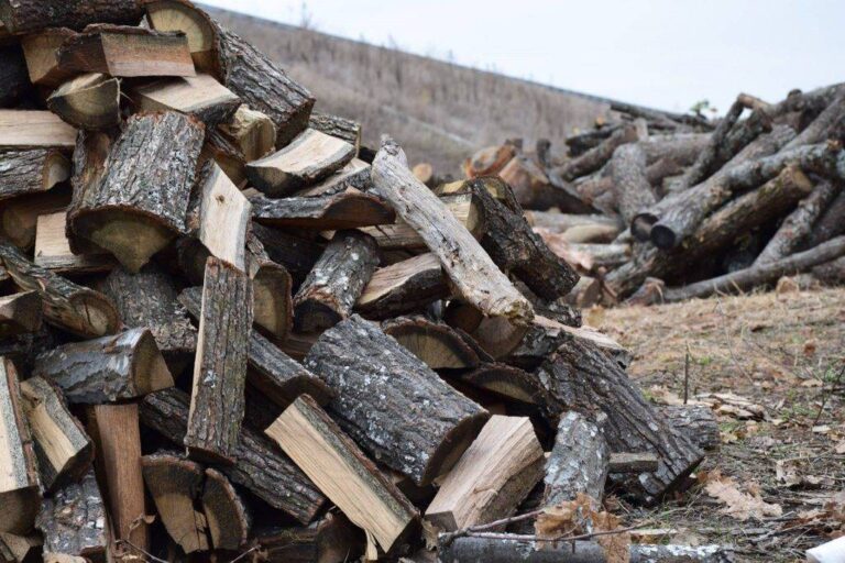 Nga sot fillon shpërndarja e druve për ngrohje për familjet e dëshmorëve të UÇK-së në Prizren