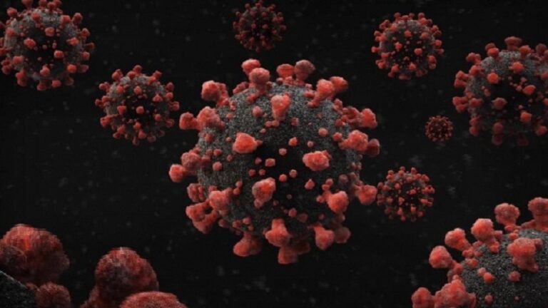 Studimi i fundit: Variantet e reja të koronavirusit e pamundësojnë imunitetin e tufës