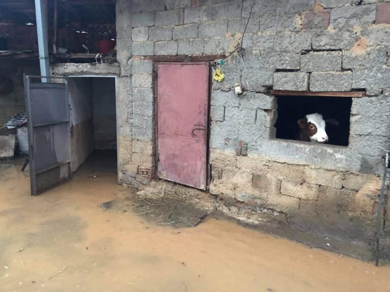 Vërshime edhe në Piranë, organet kompetente komunale angazhohen në sanimin e gjendjes