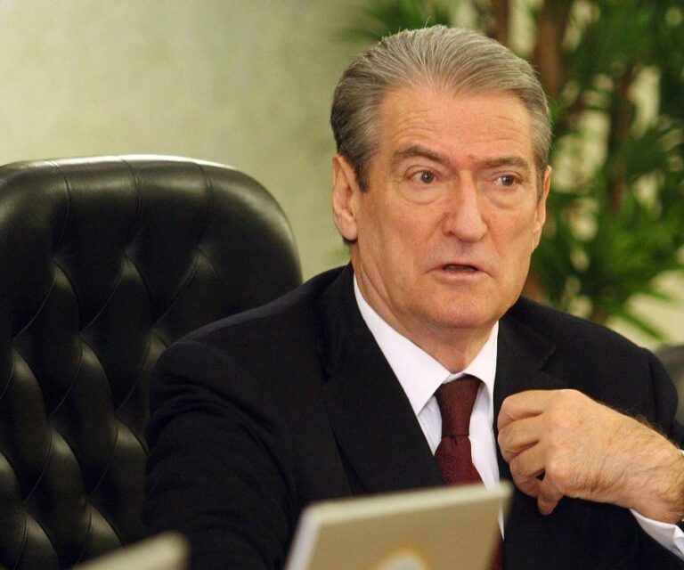 Sali Berisha: Vajza ime nga puna 7-vjeçare në Kosovë, u kthye me 1 milion dollarë