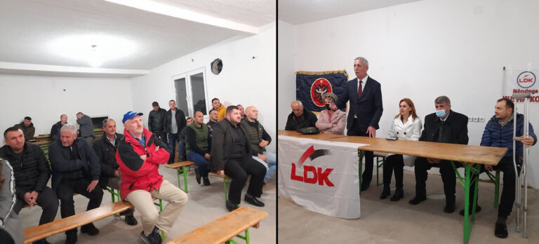 Kandidatët e LDK-së për deputet shpalosën programin para banorëve të Mushnikovës