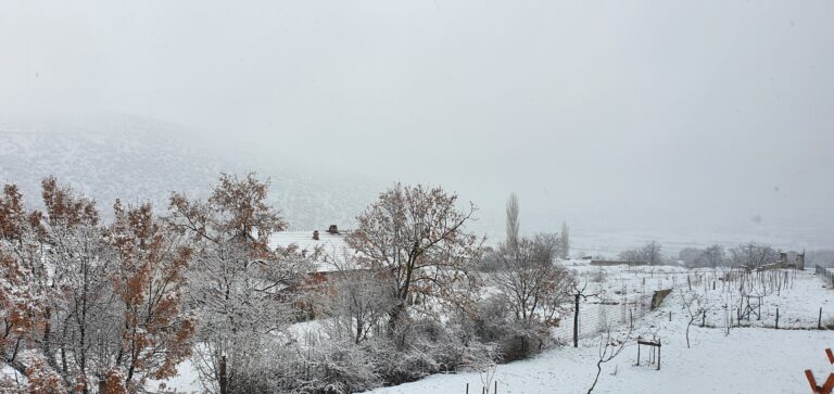 Sot mot i vranët e me reshje bore