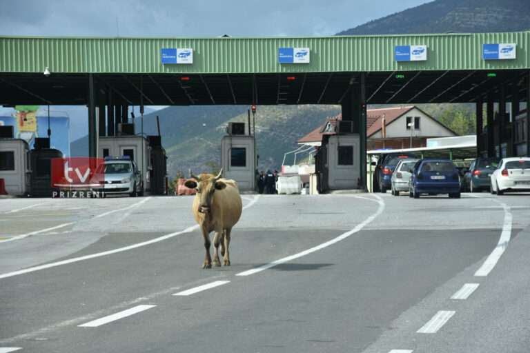 Tentoi ta korruptojë policin kufitar me 40 euro, arrestohet shtetasi shqiptar