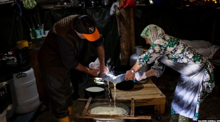 Shtrenjtimi i vajit të palmës, shans për fermerët kosovarë