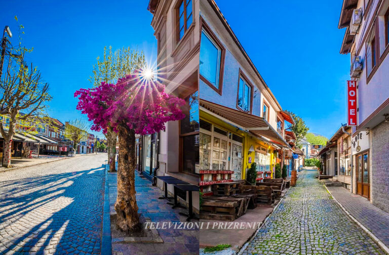 Dani Kolukaj: Mbyllja e kotë dhe shumë e vonshme