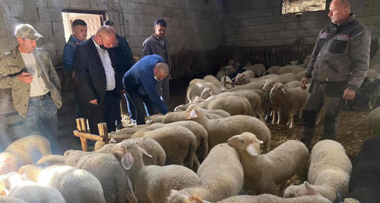 Latifi viziton disa blegtorë: Si pasojë e mbylljes nga pandemia qengjat po mbesin pa u shitur