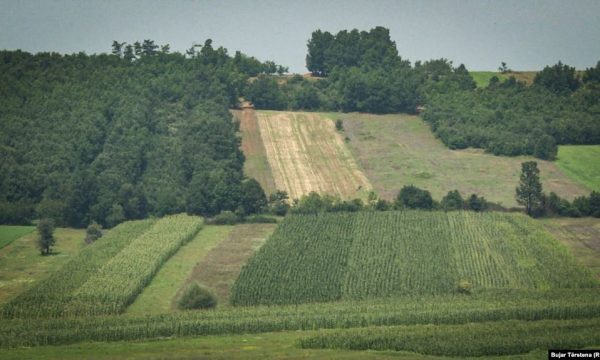 Procesi i privatizimit në Kosovë, kush prej politikanëve privatizoi prona dhe me çfarë çmimesh?