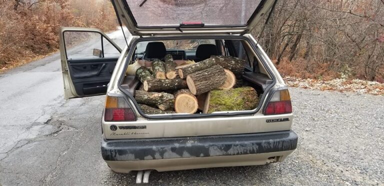 Hajnat vjedhin automjetin me drunj, të konfiskuar nga zyrtarët e pylltarisë