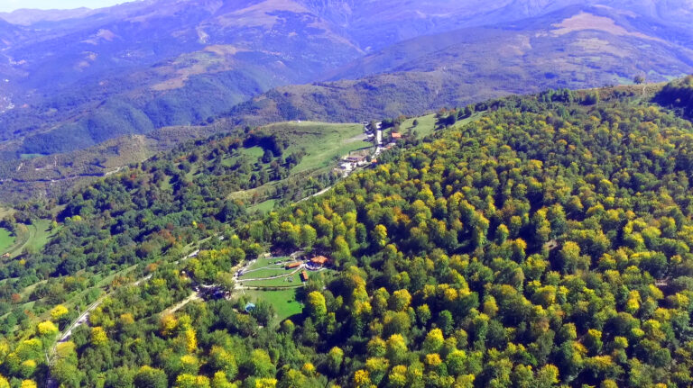 Sot shënohet Dita Botërore e Biodiversitetit