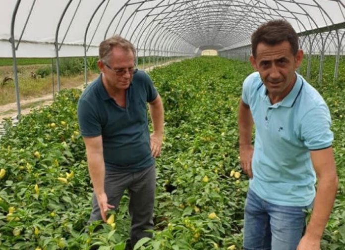 Njeriu i afërt i Besnik Bislimit bëhet kryesori i financave në Telekom