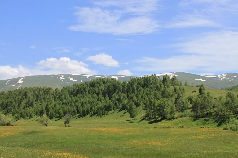 Rrihen për pronë dy persona në Rahovec, njëri bëhet për spital