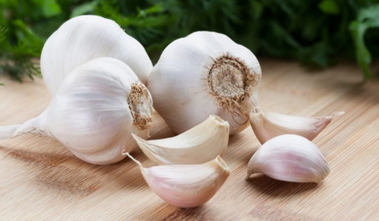 Disa efekte pozitive të hudhrës në shëndet