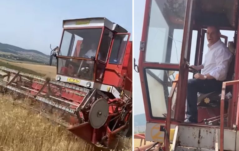 Lladrovci tregon aftësitë e tij të korrjes me kombajnë (VIDEO)