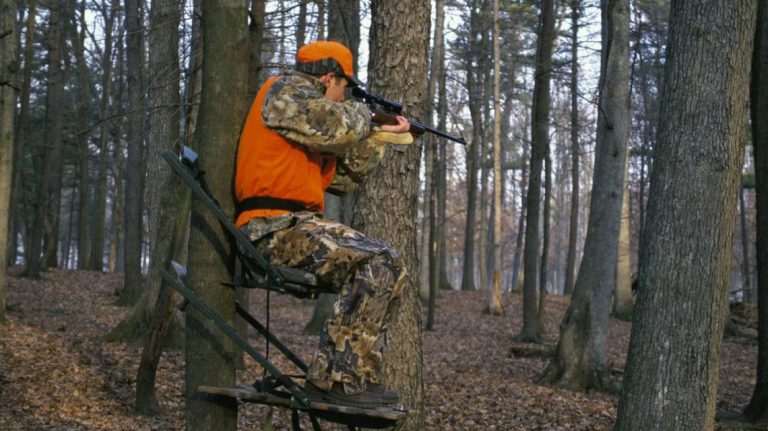 Policia në malet e Prevallës ndalon tre persona për gjueti të kundërligjshme, ju gjeten armë dhe municion