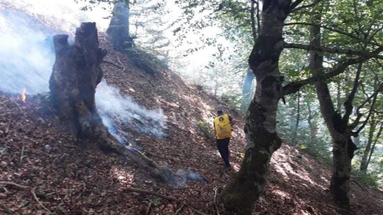 DAPK “Sharri”, thirrje për mbrojtje të pyjeve nga zjarret në Parkun Kombëtar “Sharri”