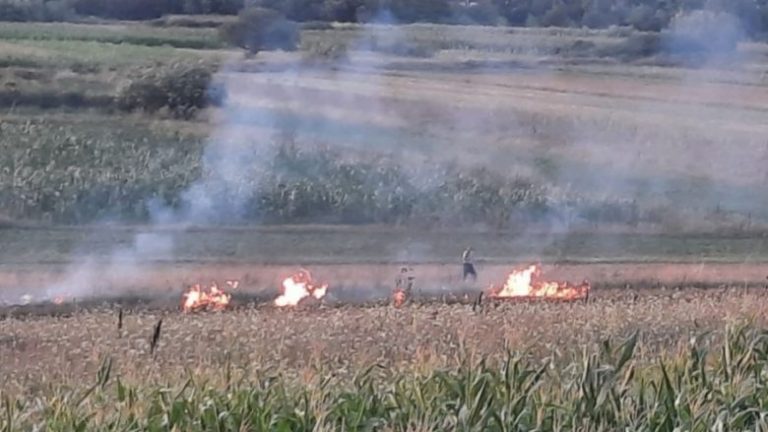 Zjarret në Kosovë, Policia identifikoi 41 persona të dyshuar dhe 20 të arrestuar