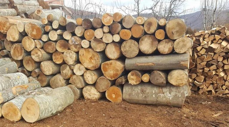 Shkatërrimi i pyjeve dukuri shqetësuese, rreth 2 mijë metra kub dru u konfiskuan në vitin 2021