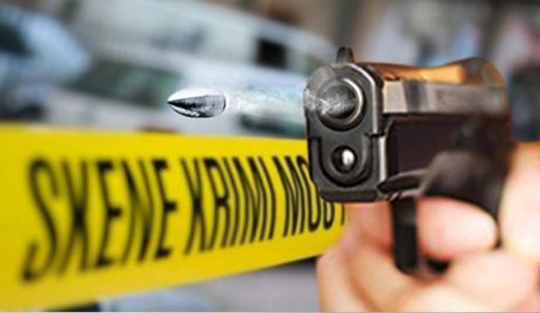 25 vrasje për katër muaj në Kosovë, për një vit u kapën mbi 1 mijë armë nga duart e qytetarëve