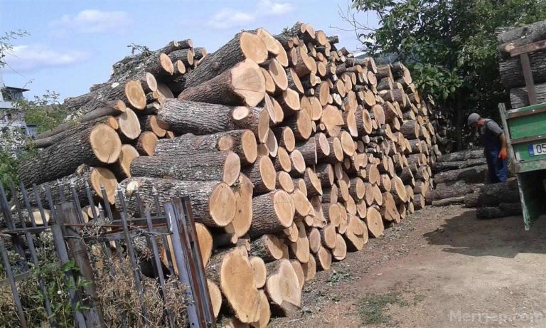 Deri në 60 euro për metër, qytetarët ankohen për çmimin e drunjve