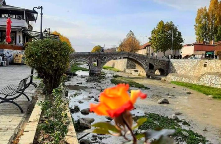 Parashikimi i motit për sot