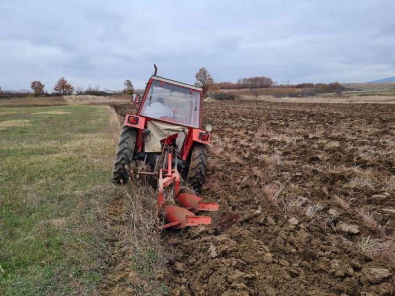 Rritja e kostos ul sipërfaqet e mbjella me grurë në Komunën e Malishevës