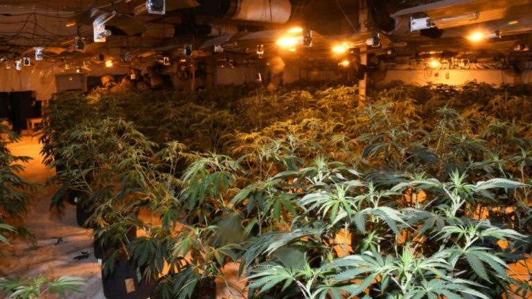 Zbulohet edhe një laborator i drogës në Prishtinë