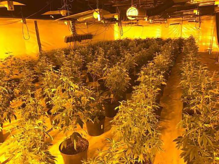 Policia zbulon laborator për prodhim të narkotikëve në Prishtinë