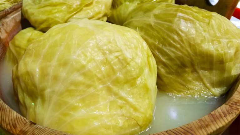 Ndikon në uljen e stresit dhe forcon imunitetin, arsyet pse duhet të hani lakra turshi