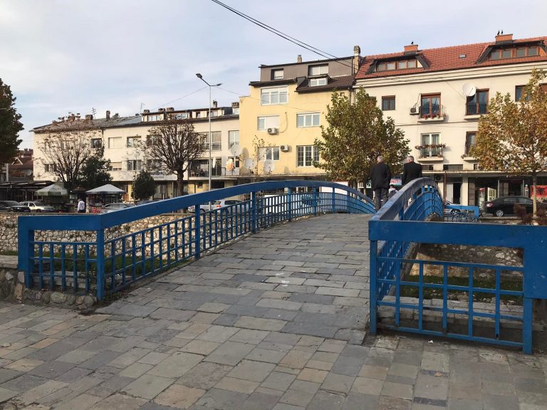 Reagon organizata “Ec Ma Ndryshe” për largimin e drynave në “Urën e kaltër” në Prizren