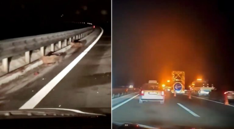 Vetura aksidentohet me një tufë derrash të egër në autostradë afër Prizrenit