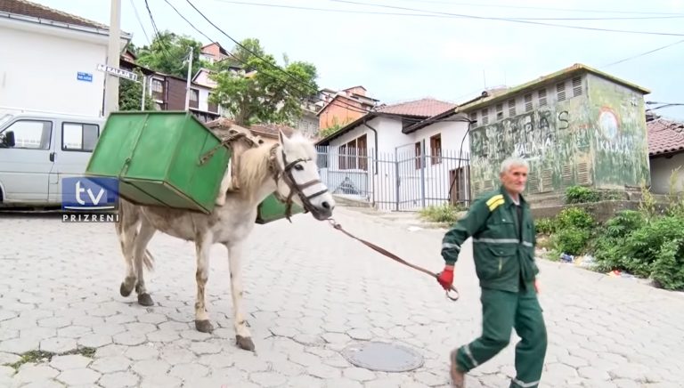 Rast i veçantë në Kosovë, për 44 vite rresht, me kali largon mbeturinat në Prizrenit