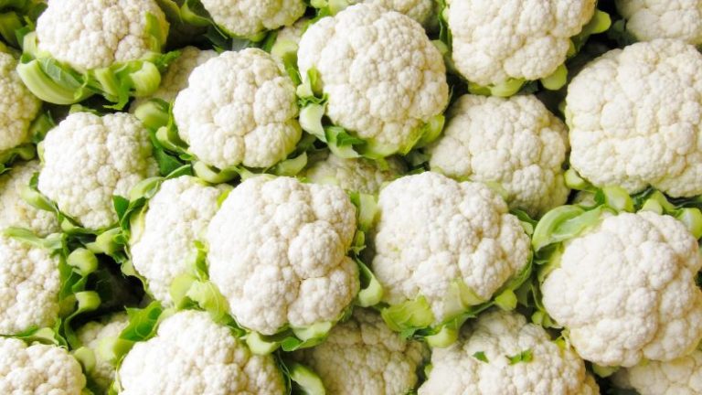 Perimet më të mira për t’u konsumuar në muajin shkurt