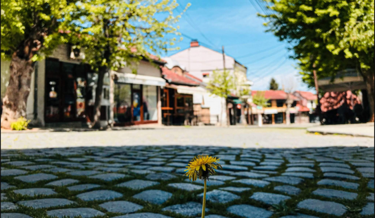 Pranvera, stina dhe koha më e mirë për t’a pastruar organizmin