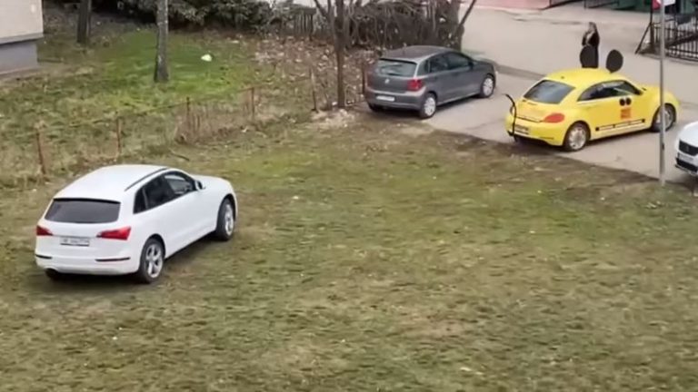 “Si në bahçe të babës”: Shoferi me veturë luksoze përdor hapësirën e gjelbërt për të parkuar në Dardani