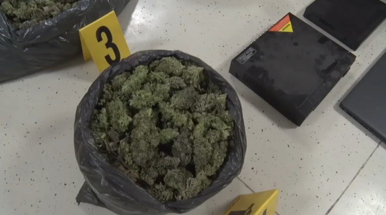 Droga në mulli të Shirokës, arrestohet i dyshuari i shtatë, është shtetas i Turqisë