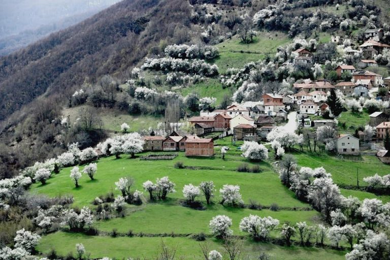 Pranvera e bukur në fshatin Struzhe