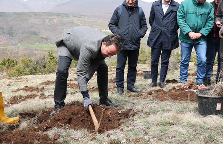​Peci: Mbollëm mbi 773 mijë fidane në të gjithë vendin
