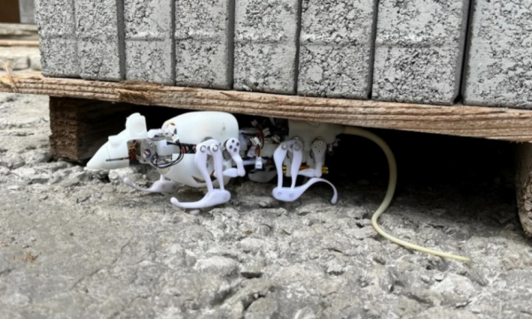 Krijohet miu-robot, do të përdoret për misione specifike