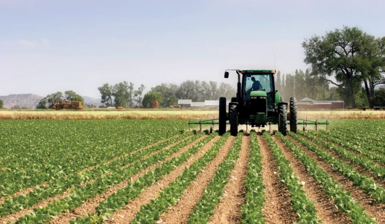 Mërgimtari vjen nga Gjermania në Kosovë për ta punuar tokën