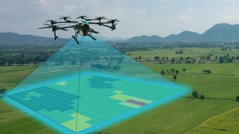 Këta dronë po mbjellin 40,000 pemë çdo ditë për të luftuar shpyllëzimin