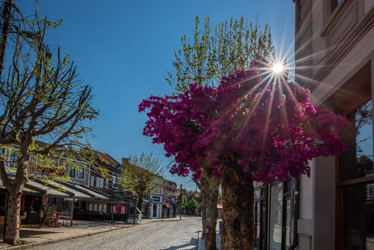 Parashikimi i motit për sot dhe nesër