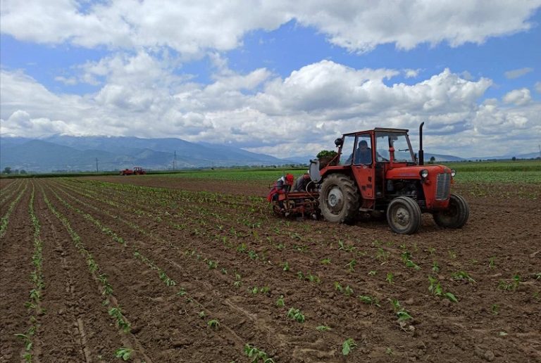 Këtë vit vetëm 90 studentë zgjodhën të studiojnë për Bujqësi, Pylltari, Peshkim dhe Veterinari