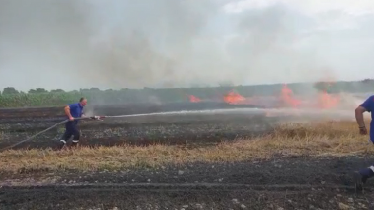 Temperaturat e larta shkaktojnë vatra zjarresh në rrethin e Vlorës