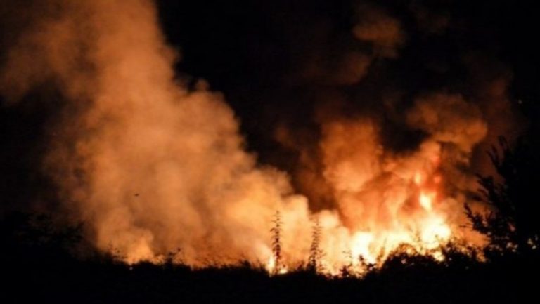 Avioni i rrëzuar mbrëm në Greqi po transportonte armë nga Serbia