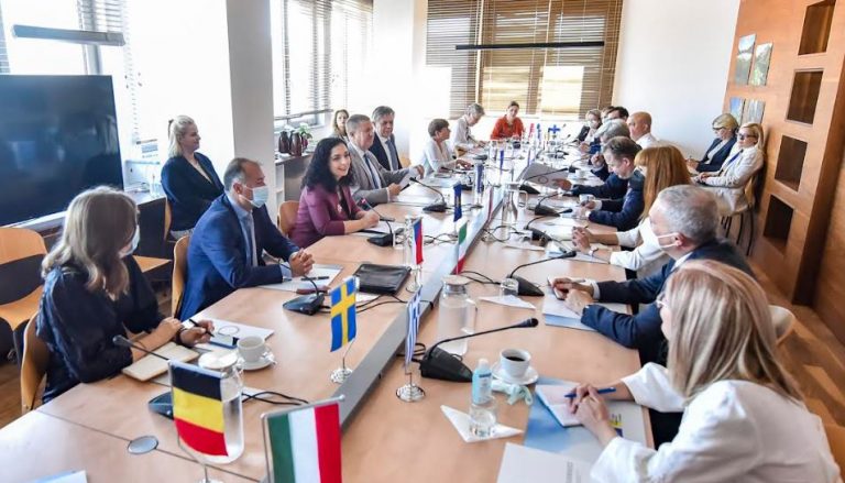 Osmani: Do të punojmë ngushtë me partnerët tanë që gjatë presidencës çeke të hiqen vizat