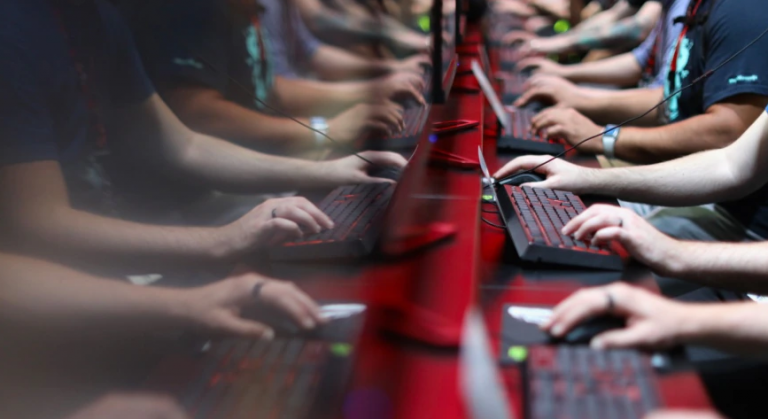 Kosova eksporton “trurin” e IT-së