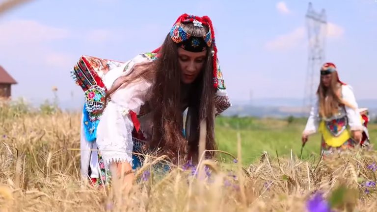 Me veshje tradicionale, gratë korrin grurin në Has